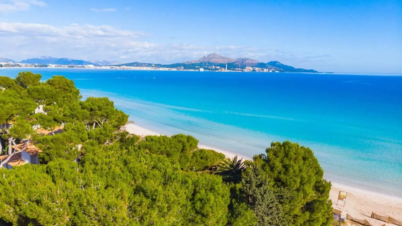 Casa Anecs Alcudia Cycling Friendly By Mallorca Villa Selection Playa de Muro  Spain